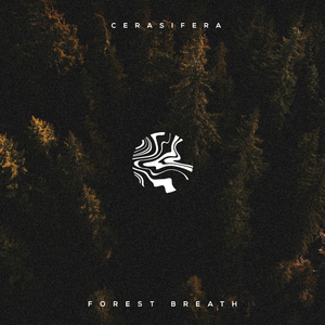 免费高清🔞❌app下载
